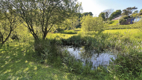 Wetlands